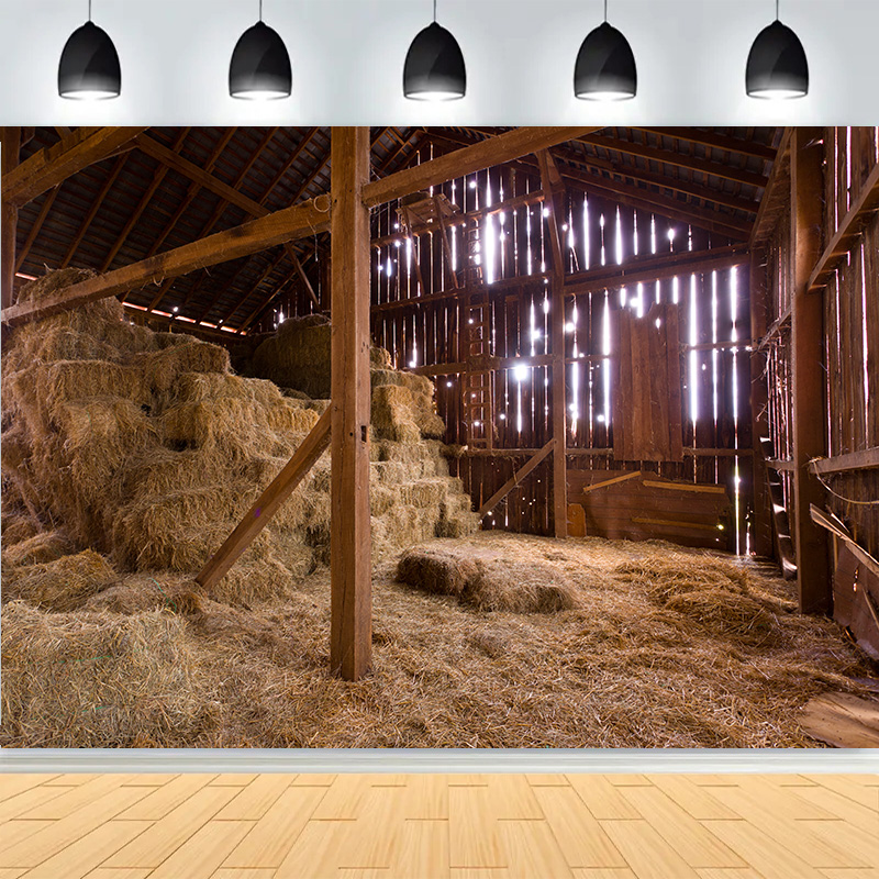 Western Cowboy Charme van het  - Photography Backdrop Muslin recensie en prijs