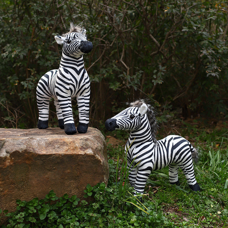 Witte Pelikaan Creatieve Zebra - Photography Zebra recensie en prijs