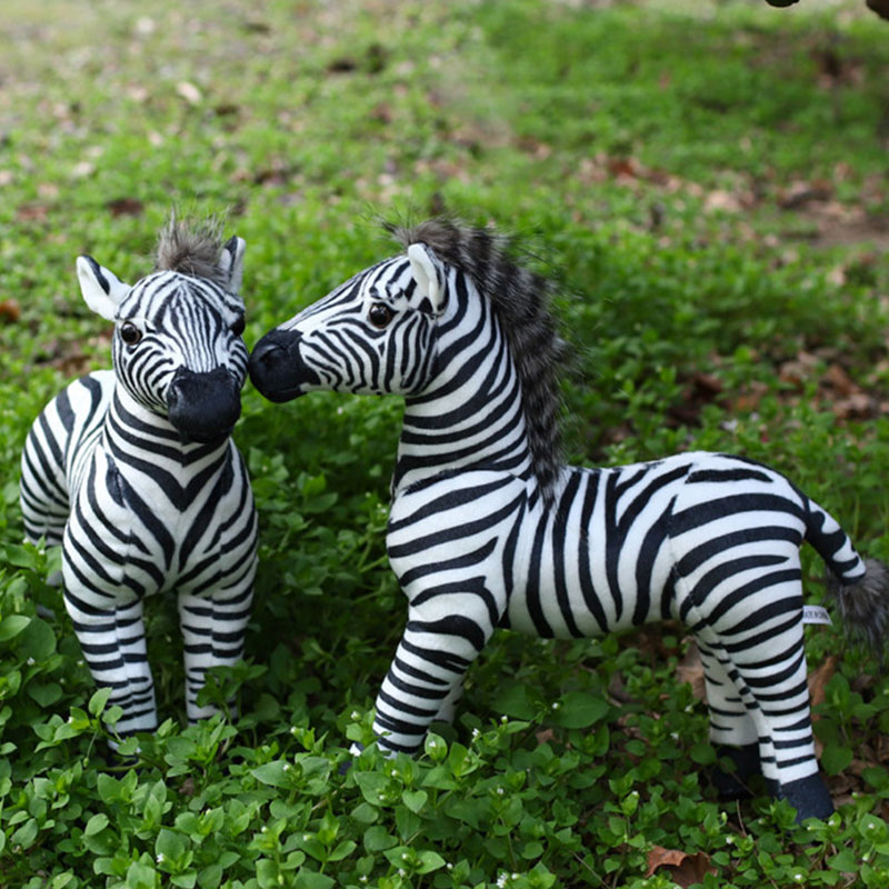 Witte Pelikaan Creatieve Zebra - Photography Zebra recensie en prijs